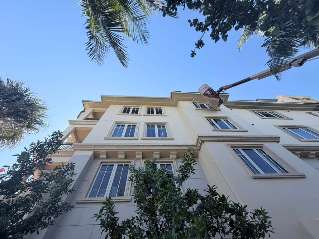Exterior building with palm trees — South Florida construction